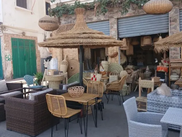 Baobab à Casablanca