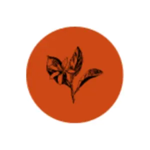 Logo de La Villa des Orangers
