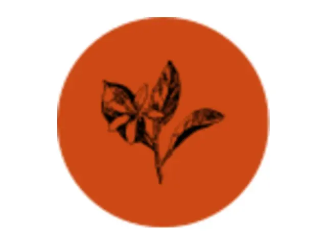 Logo de La Villa des Orangers