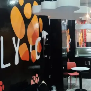 Lyli Ice à Casablanca