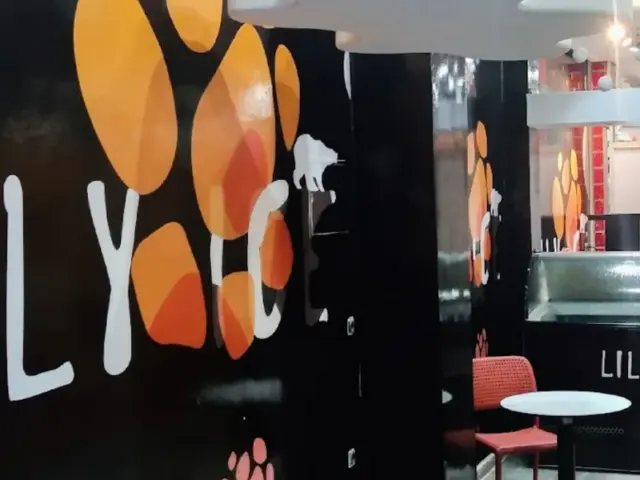 Lyli Ice à Casablanca