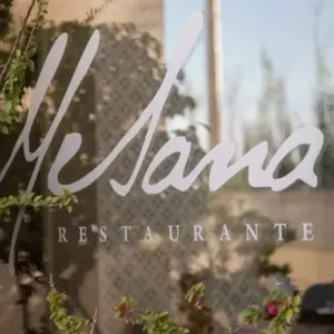 Logo Mesana